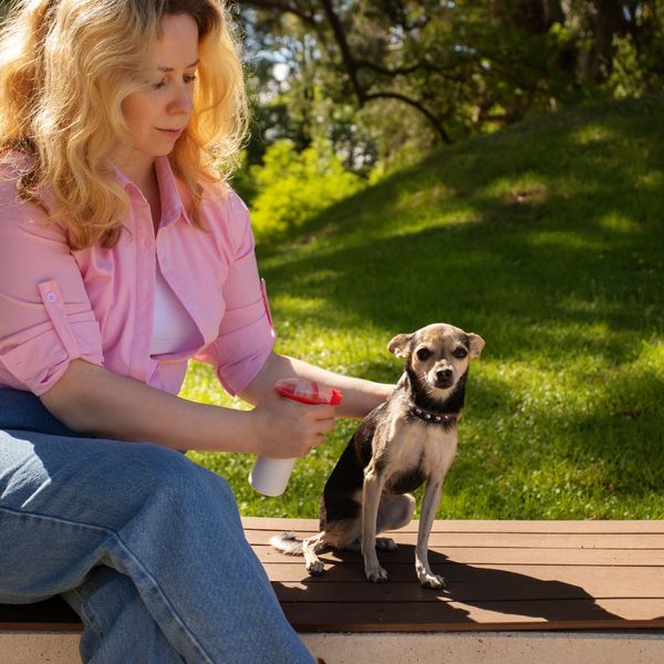 Fleas and Ticks-2.jpg